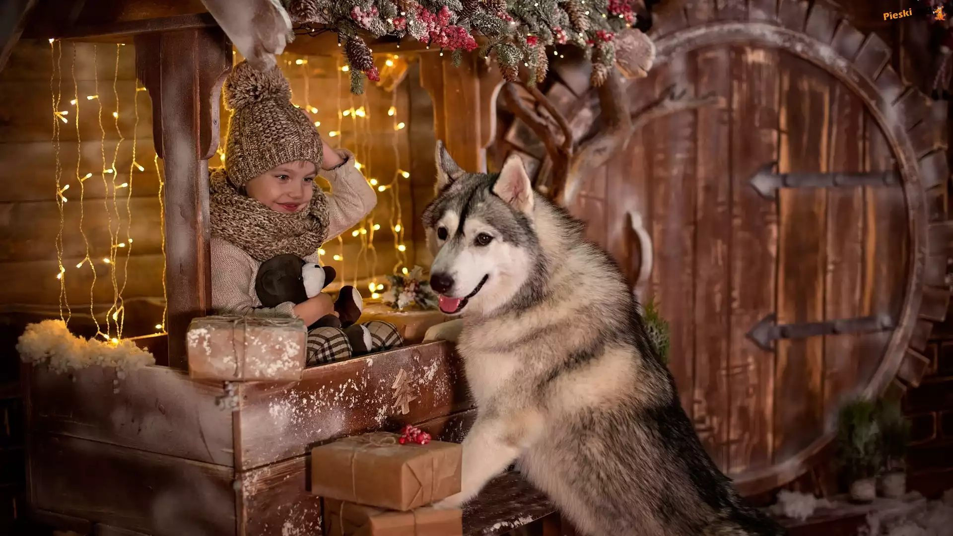¦wi±tecznie, Pies, Dziecko, Siberian husky, ¦wiate³ka